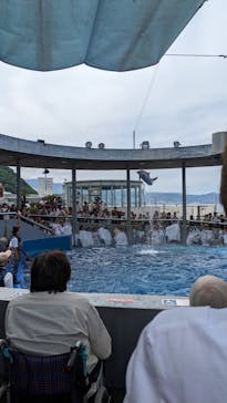 大分マリーンパレス水族館 「うみたまご」に投稿された画像（2023/6/24）