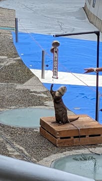 大分マリーンパレス水族館 「うみたまご」に投稿された画像（2023/6/24）