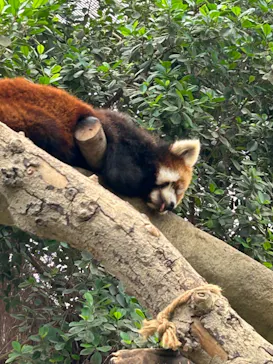 神戸どうぶつ王国に投稿された画像（2023/6/24）