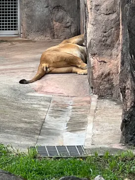 天王寺動物園に投稿された画像（2023/6/24）