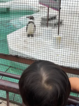 天王寺動物園に投稿された画像（2023/6/24）