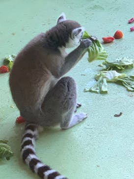 ネオパークオキナワに投稿された画像（2023/6/24）