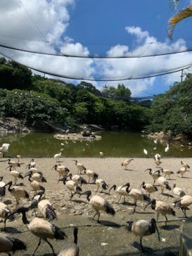 ネオパークオキナワに投稿された画像（2023/6/24）