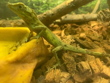 ネオパークオキナワに投稿された画像（2023/6/24）