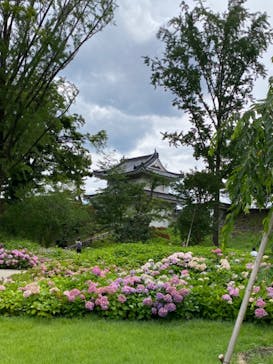 元離宮二条城に投稿された画像（2023/6/24）