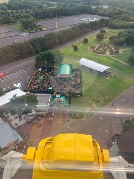 国営ひたち海浜公園プレジャーガーデンに投稿された画像（2023/6/24）