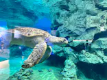 名古屋港水族館に投稿された画像（2023/6/24）