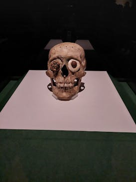 特別展「古代メキシコーマヤ、アステカ、テオティワカン」に投稿された画像（2023/6/24）