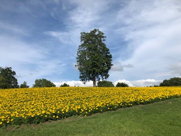 とっとり花回廊に投稿された画像（2023/6/24）