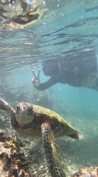 宮古島 ADVENTURE PiPi（ミヤコジマ アドベンチャー ピピ）に投稿された画像（2023/6/24）