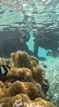 宮古島 ADVENTURE PiPi（ミヤコジマ アドベンチャー ピピ）に投稿された画像（2023/6/24）