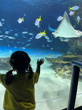 サンシャイン水族館に投稿された画像（2023/6/24）
