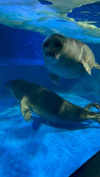 サンシャイン水族館に投稿された画像（2023/6/24）