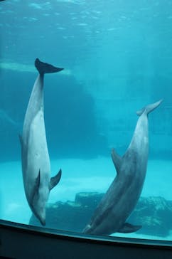 名古屋港水族館に投稿された画像（2023/6/24）