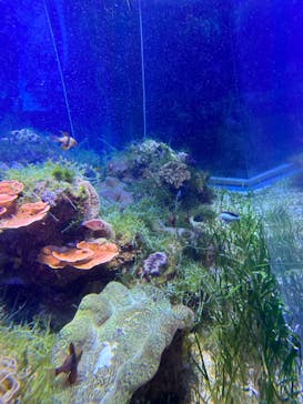 名古屋港水族館に投稿された画像（2023/6/24）