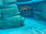 天王寺動物園に投稿された画像（2023/6/24）