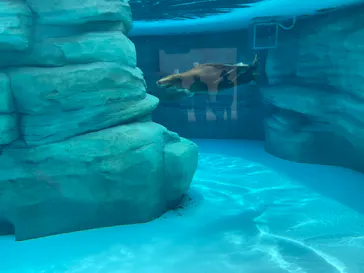 天王寺動物園に投稿された画像（2023/6/24）