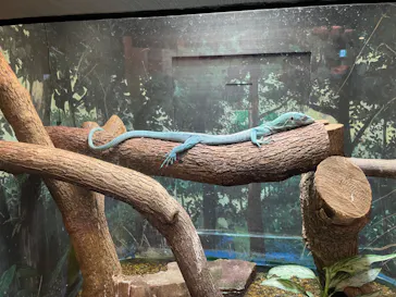 天王寺動物園に投稿された画像（2023/6/24）