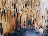 石垣島鍾乳洞に投稿された画像（2023/6/24）