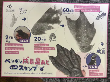 すみだ水族館に投稿された画像（2023/6/24）