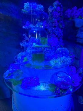 新江ノ島水族館に投稿された画像（2023/6/24）