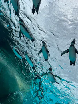 天王寺動物園に投稿された画像（2023/6/24）