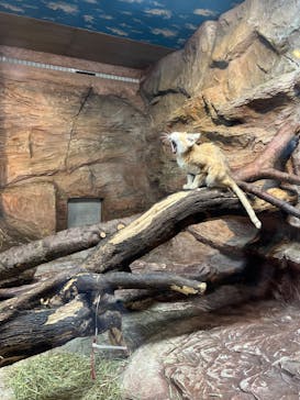 那須どうぶつ王国に投稿された画像（2023/6/24）