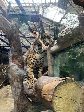 那須どうぶつ王国に投稿された画像（2023/6/24）