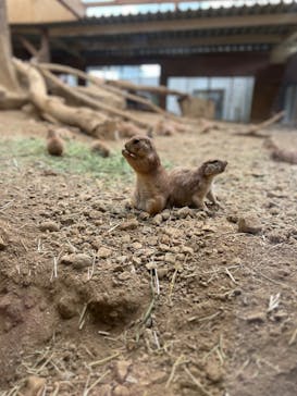 那須どうぶつ王国に投稿された画像（2023/6/24）