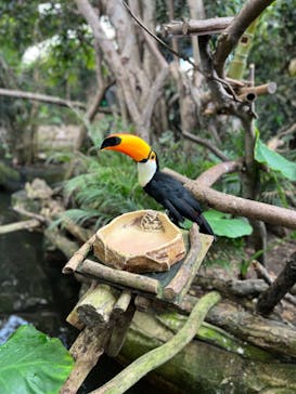 那須どうぶつ王国に投稿された画像（2023/6/24）