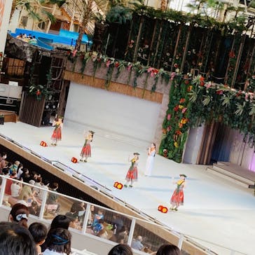 スパリゾートハワイアンズに投稿された画像（2023/6/24）