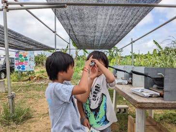 オルタナティブファーム宮古に投稿された画像（2023/6/24）