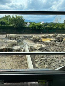 群馬サファリパークに投稿された画像（2023/6/24）