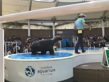 サンシャイン水族館に投稿された画像（2023/6/24）