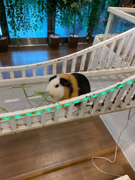 アニタッチみなとみらいに投稿された画像（2023/6/24）