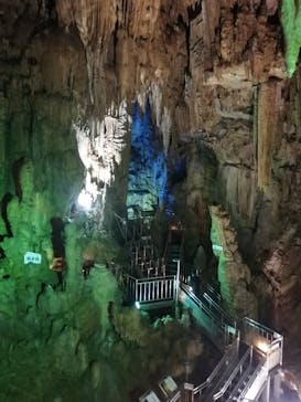 あぶくま洞に投稿された画像（2023/6/24）