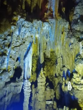 あぶくま洞に投稿された画像（2023/6/24）