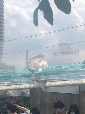 サンシャイン水族館に投稿された画像（2023/6/24）