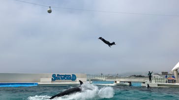 鴨川シーワールドに投稿された画像（2023/6/24）