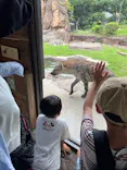 天王寺動物園に投稿された画像（2023/6/24）