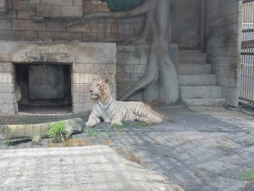 東武動物公園に投稿された画像（2023/6/24）