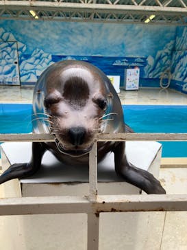 東北サファリパークに投稿された画像（2023/6/24）