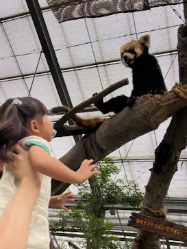 神戸どうぶつ王国に投稿された画像（2023/6/24）