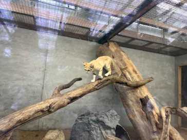 神戸どうぶつ王国に投稿された画像（2023/6/24）