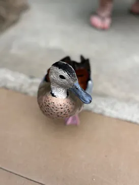 神戸どうぶつ王国に投稿された画像（2023/6/24）