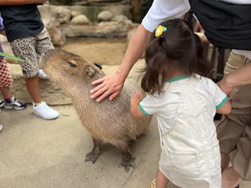 神戸どうぶつ王国に投稿された画像（2023/6/24）
