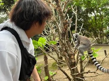 神戸どうぶつ王国に投稿された画像（2023/6/24）