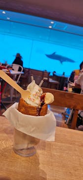 マリンワールド海の中道に投稿された画像（2023/6/25）