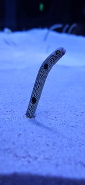 マリンワールド海の中道に投稿された画像（2023/6/25）