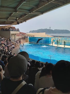 新江ノ島水族館に投稿された画像（2023/6/25）